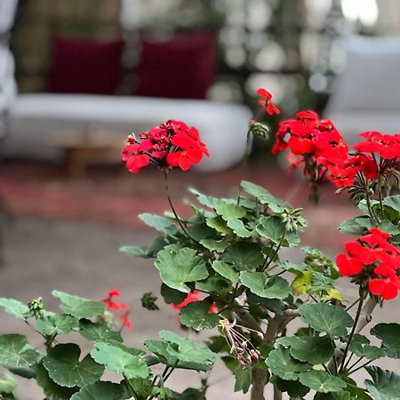 Dar Tadout Guest House Ait Ourir Exterior photo